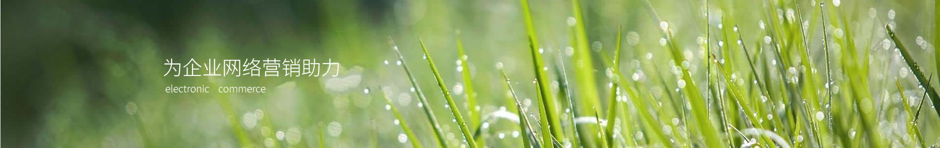 ںŷƼ޹˾